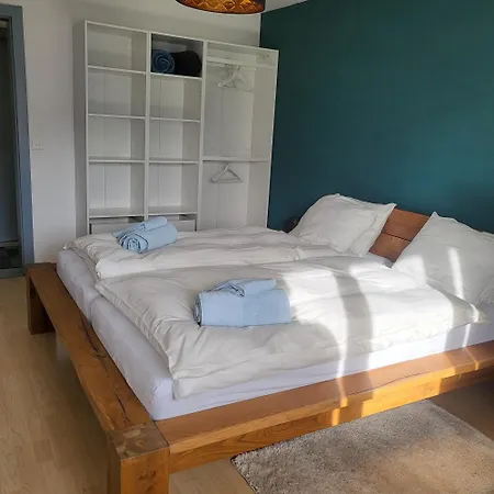 Randogne Avec Grande Terrasse كرانز مونتانا