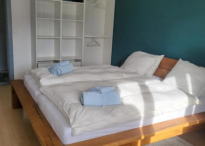 Randogne Avec Grande Terrasse 克莱恩 蒙塔纳